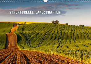 Strukturelle Landschaften (Wandkalender 2021 DIN A3 quer) von Gospodarek,  Mikolaj