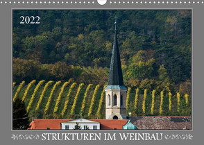 Strukturen im Weinbau (Wandkalender 2022 DIN A3 quer) von Braun,  Werner