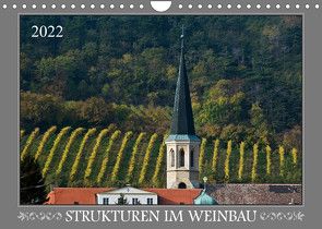 Strukturen im Weinbau (Wandkalender 2022 DIN A4 quer) von Braun,  Werner