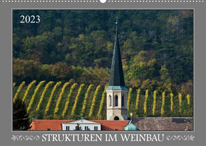 Strukturen im Weinbau (Wandkalender 2023 DIN A2 quer) von Braun,  Werner