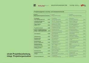 Strukturierte Projektbearbeitung, integrierte Projektorganisation von Lechner,  Hans, Liebenau,  Sabine, Stefan,  Günther