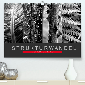 Strukturwandel, grafische Muster in der Natur (Premium, hochwertiger DIN A2 Wandkalender 2022, Kunstdruck in Hochglanz) von Fotokullt