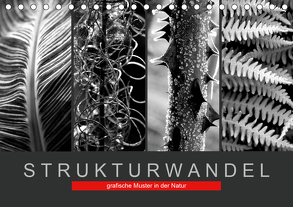 Strukturwandel, grafische Muster in der Natur (Tischkalender 2020 DIN A5 quer) von Fotokullt