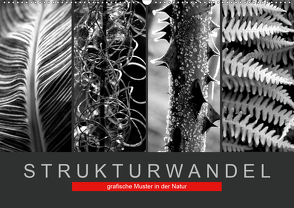 Strukturwandel, grafische Muster in der Natur (Wandkalender 2020 DIN A2 quer) von Fotokullt