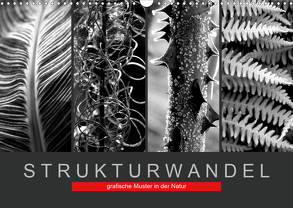 Strukturwandel, grafische Muster in der Natur (Wandkalender 2020 DIN A3 quer) von Fotokullt