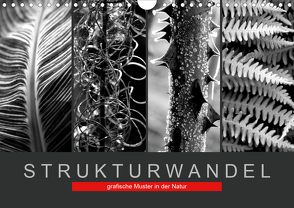 Strukturwandel, grafische Muster in der Natur (Wandkalender 2021 DIN A4 quer) von Fotokullt