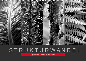 Strukturwandel, grafische Muster in der Natur (Wandkalender 2022 DIN A2 quer) von Fotokullt