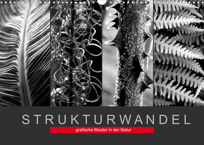 Strukturwandel, grafische Muster in der Natur (Wandkalender 2022 DIN A3 quer) von Fotokullt