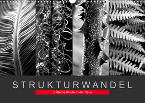 Strukturwandel, grafische Muster in der Natur (Wandkalender 2023 DIN A3 quer) von Fotokullt