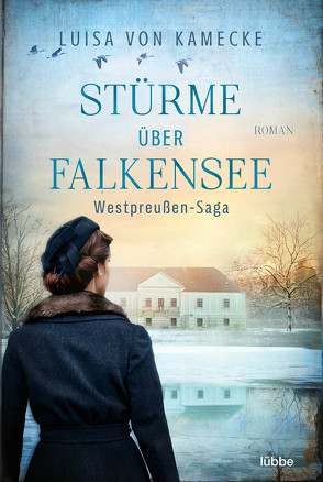 Stürme über Falkensee von Kamecke,  Luisa von