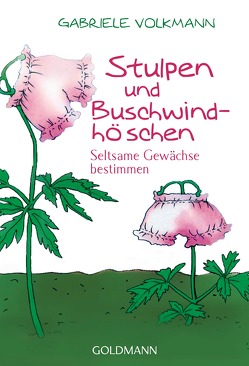 Stulpen und Buschwindhöschen von Volkmann,  Gabriele