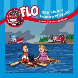 Sturm auf dem Waldsee – Flo-Minibuch (11) von Baumann,  Nils, Janßen,  Lisa, Mörken,  Christian