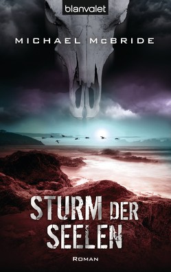 Sturm der Seelen von McBride,  Michael, Pfingstl,  Michael