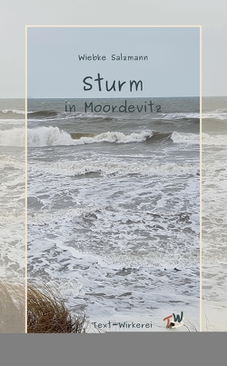 Sturm in Moordevitz von Salzmann,  Wiebke, Schlatter,  Yvonne