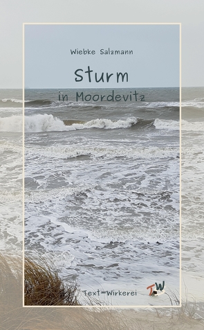 Sturm in Moordevitz von Salzmann,  Wiebke, Schlatter,  Yvonne