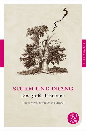 Sturm und Drang von Strobel,  Jochen