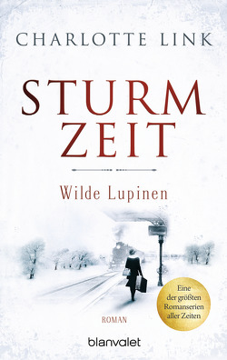 Sturmzeit – Wilde Lupinen von Link,  Charlotte