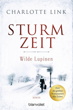 Sturmzeit – Wilde Lupinen von Link,  Charlotte