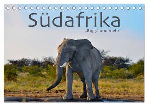 Südafrika – Big 5 und mehr (Tischkalender 2024 DIN A5 quer), CALVENDO Monatskalender von Styppa,  Robert