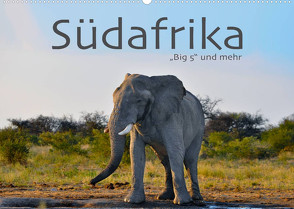 Südafrika – Big 5 und mehr (Wandkalender 2022 DIN A2 quer) von Styppa,  Robert