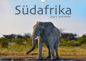 Südafrika – Big 5 und mehr (Wandkalender 2022 DIN A3 quer) von Styppa,  Robert