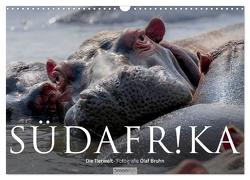 Südafrika – Die Tierwelt (Wandkalender 2024 DIN A3 quer), CALVENDO Monatskalender von Bruhn,  Olaf