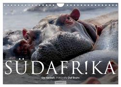 Südafrika – Die Tierwelt (Wandkalender 2024 DIN A4 quer), CALVENDO Monatskalender von Bruhn,  Olaf