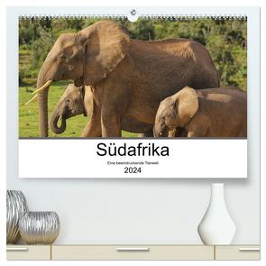 Südafrika – Eine beeindruckende Tierwelt (hochwertiger Premium Wandkalender 2024 DIN A2 quer), Kunstdruck in Hochglanz von TakeTheShot,  TakeTheShot