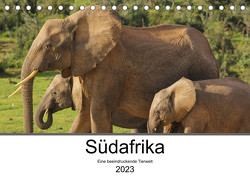 Südafrika – Eine beeindruckende Tierwelt (Tischkalender 2023 DIN A5 quer) von TakeTheShot