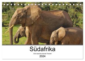 Südafrika – Eine beeindruckende Tierwelt (Tischkalender 2024 DIN A5 quer), CALVENDO Monatskalender von TakeTheShot,  TakeTheShot