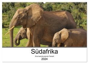 Südafrika – Eine beeindruckende Tierwelt (Wandkalender 2024 DIN A2 quer), CALVENDO Monatskalender von TakeTheShot,  TakeTheShot