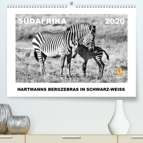 SÜDAFRIKA Hartmanns Bergzebras in schwarz-weiss (Premium, hochwertiger DIN A2 Wandkalender 2020, Kunstdruck in Hochglanz) von Thula