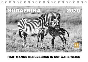 SÜDAFRIKA Hartmanns Bergzebras in schwarz-weiss (Tischkalender 2020 DIN A5 quer) von Thula