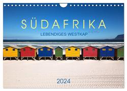 Südafrika – Lebendiges Westkap (Wandkalender 2024 DIN A4 quer), CALVENDO Monatskalender von Stützle,  Michael