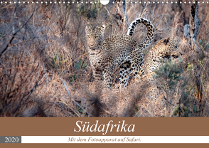 Südafrika – Mit dem Fotoapparat auf Safari. (Wandkalender 2020 DIN A3 quer) von Kunert,  Matthias