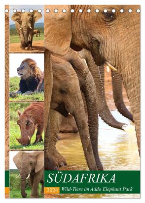 SÜDAFRIKA Wild-Tiere im Addo Elephant Park (Tischkalender 2024 DIN A5 hoch), CALVENDO Monatskalender von Fraatz,  Barbara