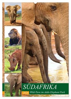 SÜDAFRIKA Wild-Tiere im Addo Elephant Park (Wandkalender 2024 DIN A2 hoch), CALVENDO Monatskalender von Fraatz,  Barbara