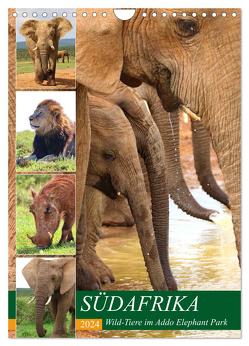 SÜDAFRIKA Wild-Tiere im Addo Elephant Park (Wandkalender 2024 DIN A4 hoch), CALVENDO Monatskalender von Fraatz,  Barbara