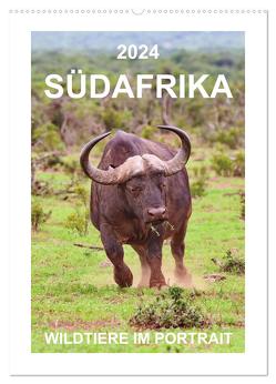 SÜDAFRIKA – WILDTIERE IM PORTRAIT (Wandkalender 2024 DIN A2 hoch), CALVENDO Monatskalender von Fraatz,  Barbara