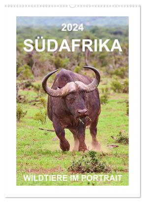 SÜDAFRIKA – WILDTIERE IM PORTRAIT (Wandkalender 2024 DIN A2 hoch), CALVENDO Monatskalender von Fraatz,  Barbara