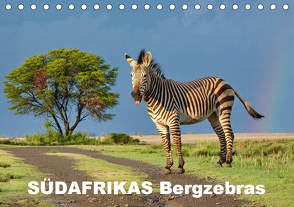 SÜDAFRIKAS Bergzebras (Tischkalender 2021 DIN A5 quer) von Thula