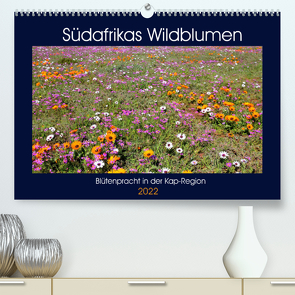 Südafrikas Wildblumen – Blütenpracht in der Kap-Region (Premium, hochwertiger DIN A2 Wandkalender 2022, Kunstdruck in Hochglanz) von Herzog,  Michael