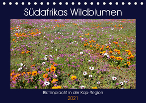 Südafrikas Wildblumen – Blütenpracht in der Kap-Region (Tischkalender 2021 DIN A5 quer) von Herzog,  Michael