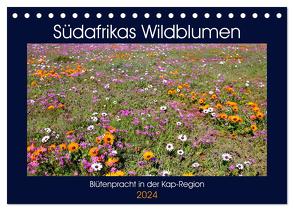 Südafrikas Wildblumen – Blütenpracht in der Kap-Region (Tischkalender 2024 DIN A5 quer), CALVENDO Monatskalender von Herzog,  Michael