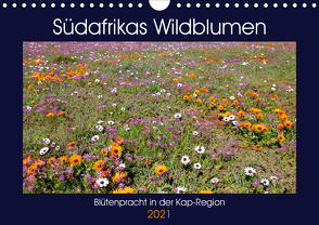 Südafrikas Wildblumen – Blütenpracht in der Kap-Region (Wandkalender 2021 DIN A4 quer) von Herzog,  Michael