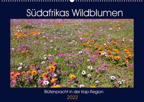 Südafrikas Wildblumen – Blütenpracht in der Kap-Region (Wandkalender 2022 DIN A2 quer) von Herzog,  Michael