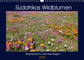 Südafrikas Wildblumen – Blütenpracht in der Kap-Region (Wandkalender 2022 DIN A3 quer) von Herzog,  Michael