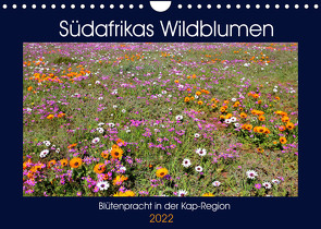 Südafrikas Wildblumen – Blütenpracht in der Kap-Region (Wandkalender 2022 DIN A4 quer) von Herzog,  Michael