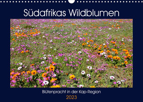 Südafrikas Wildblumen – Blütenpracht in der Kap-Region (Wandkalender 2023 DIN A3 quer) von Herzog,  Michael