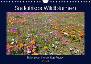 Südafrikas Wildblumen – Blütenpracht in der Kap-Region (Wandkalender 2023 DIN A4 quer) von Herzog,  Michael